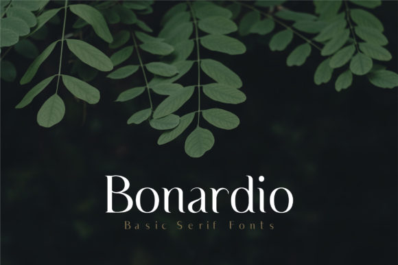 Bonardio Font Review: A Romantic Serif for Web Headers
