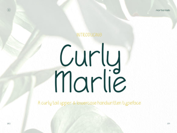 Curly Marlie: The Script Font That Sharpens Campaign Clarity