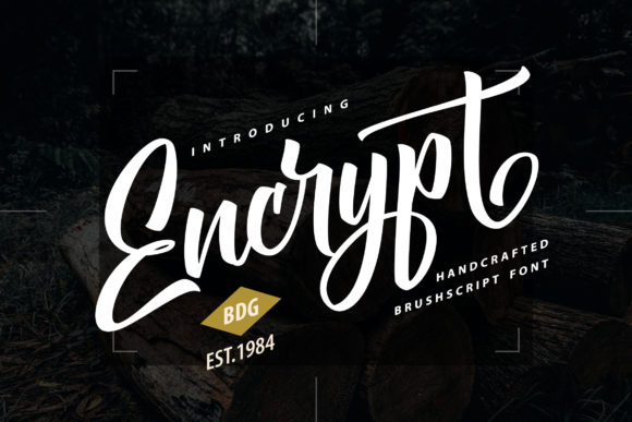 Encrypt: A Flowing Script Typeface for Editorial Design